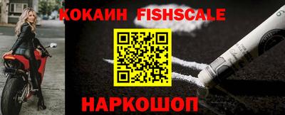 гашик Будённовск