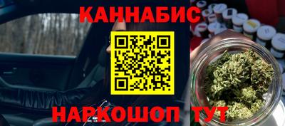 гашик Будённовск