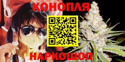 гашик Будённовск