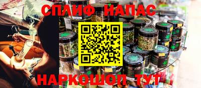 гашик Будённовск