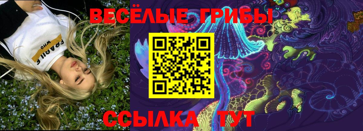 Псилоцибиновые грибы прущие грибы Ржев